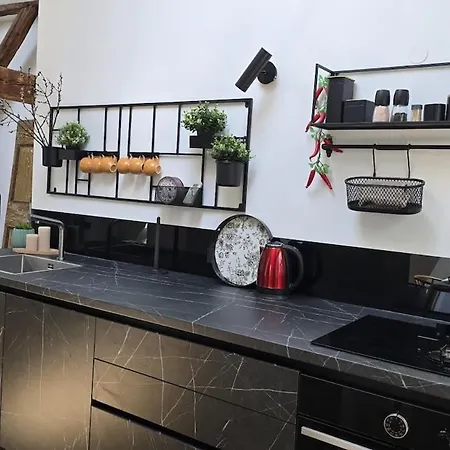 Funky Stylish Penthouse Apartment Ljubljana