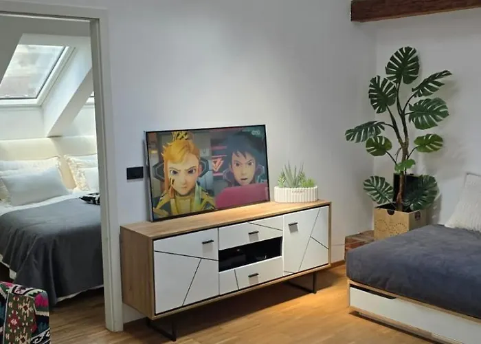 Funky Stylish Penthouse Apartman Ljubljana